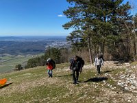 Lijak März 2020 - 5